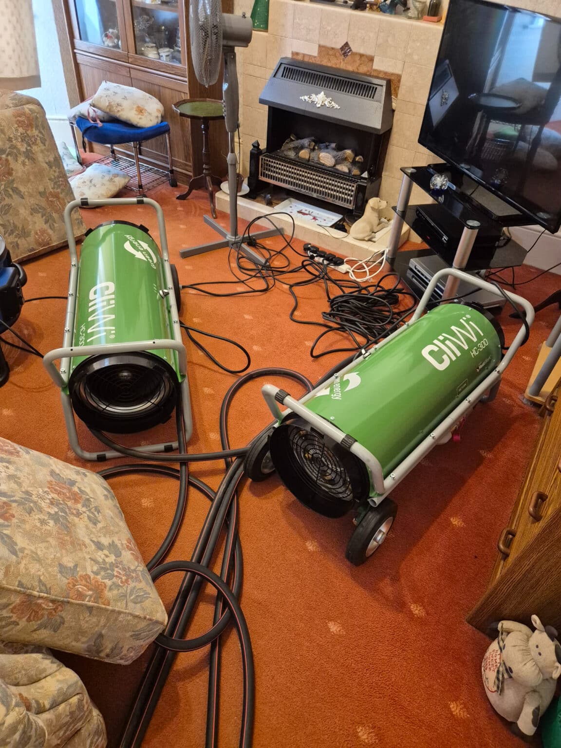 carpet moth heat treatment in London by moth treatment pros